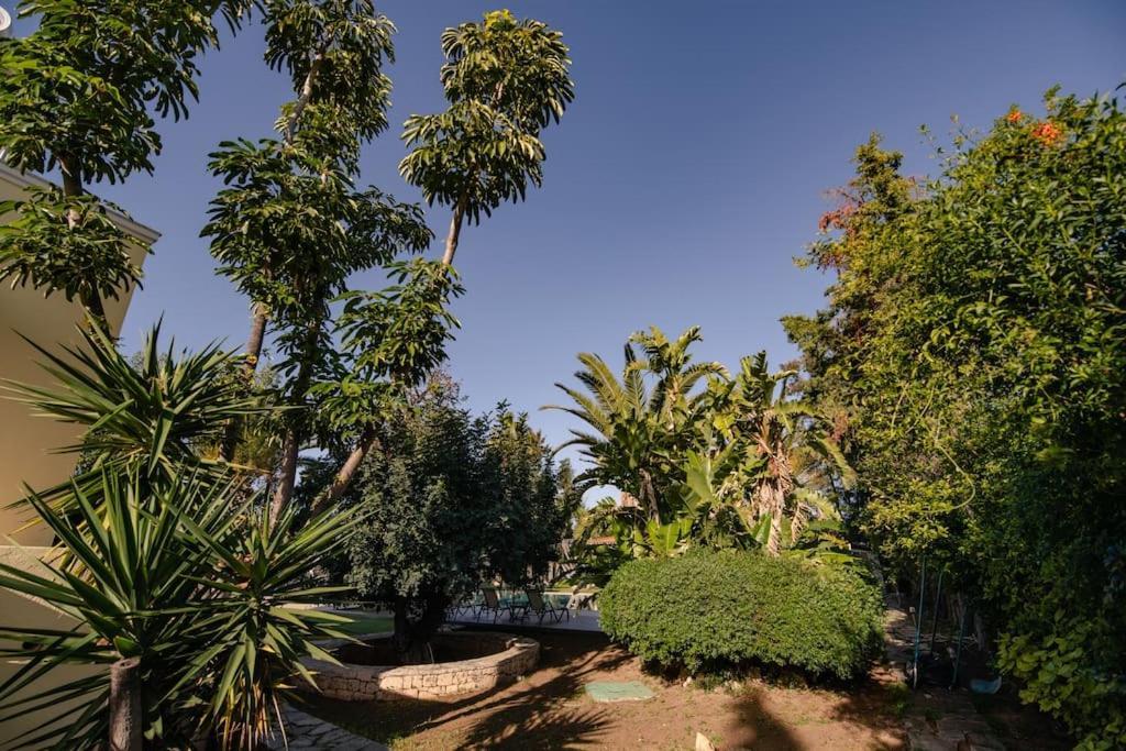 Villa Elmar Aegina Exteriör bild